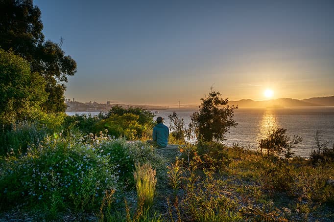 Person sitting in Buckeye Grove overlooking the bay at sunset, surrounded by wildflowers and native greenery.